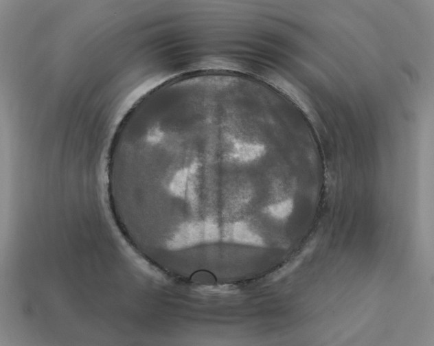 X0000113251133200910081313