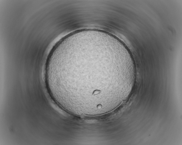 X0000113251136200910081313