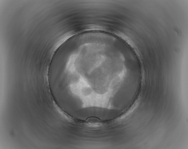 X0000113251137200910081313