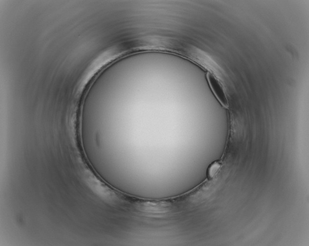 X0000113251138200910081313