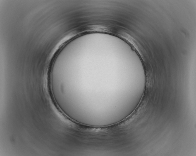 X0000113251139200910081313