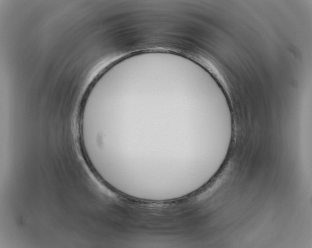 X0000113251141200910081313