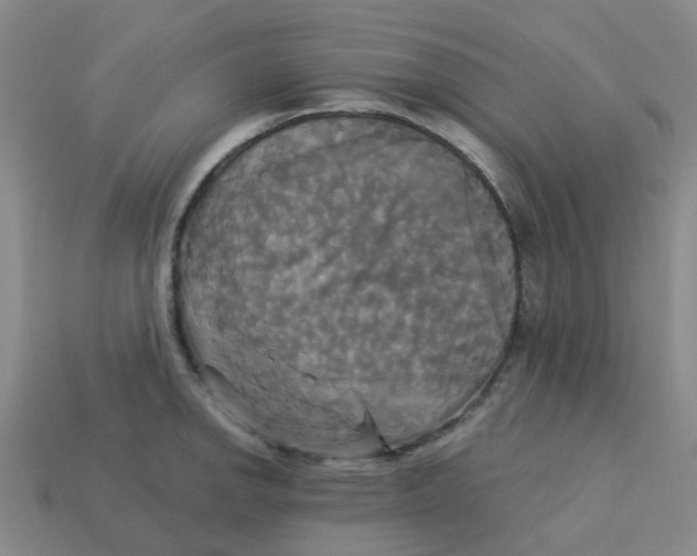 X0000113251142200910081313