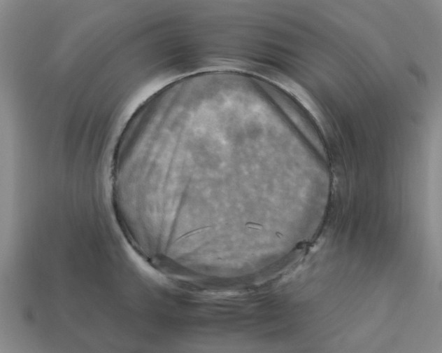 X0000113251143200910081313