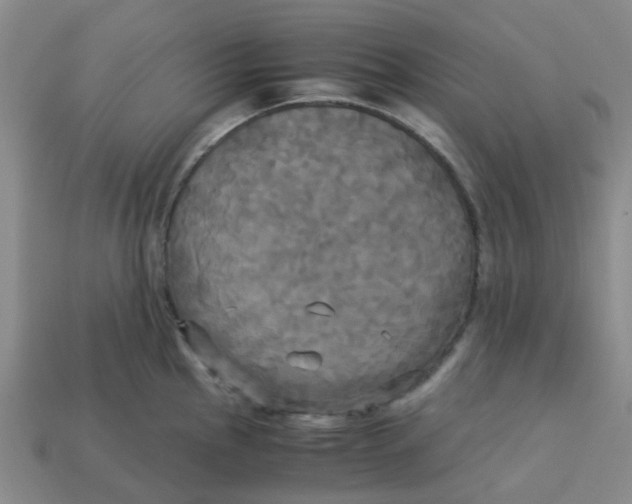 X0000113251145200910081313