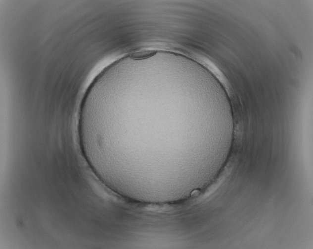 X0000113251146200910081313