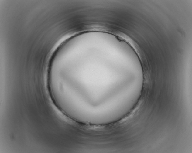 X0000113251147200910081313