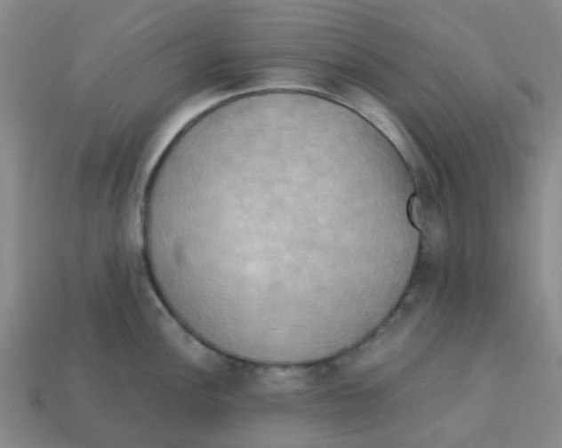 X0000113251148200910081313