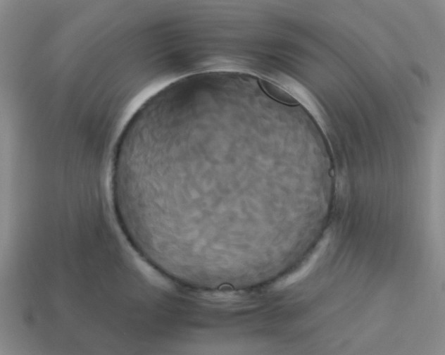 X0000113251149200910081313