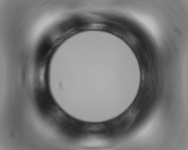 X0000113251150200910081313