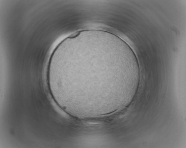 X0000113251152200910081313