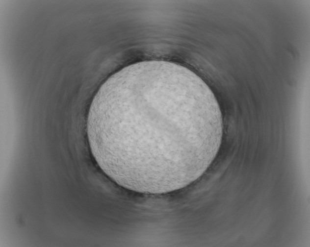 X0000113251153200910081313