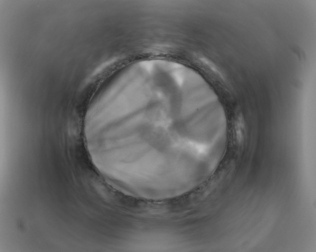 X0000113251158200910081313