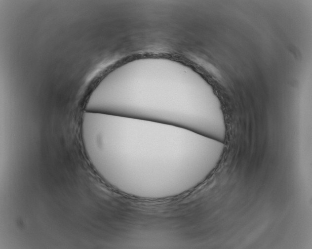 X0000113251160200910081313