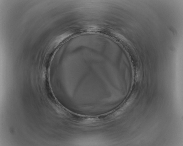 X0000113251161200910081313