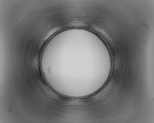 X0000113251162200910081313