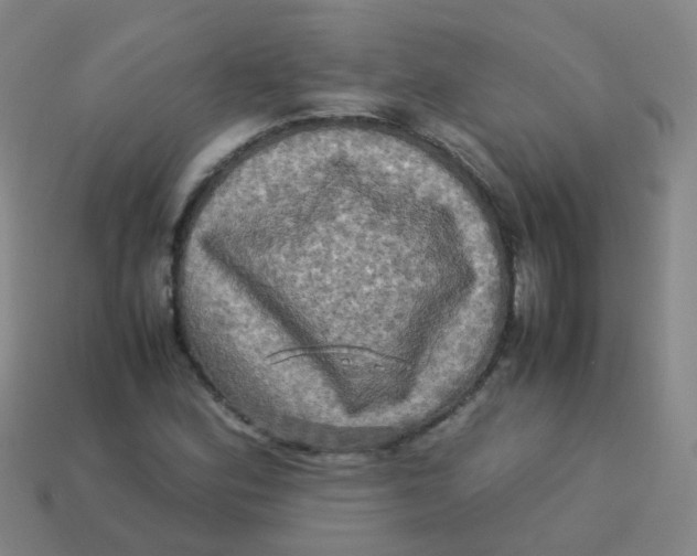 X0000113251164200910081313