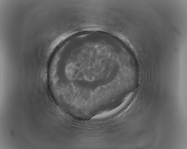 X0000113251167200910081313