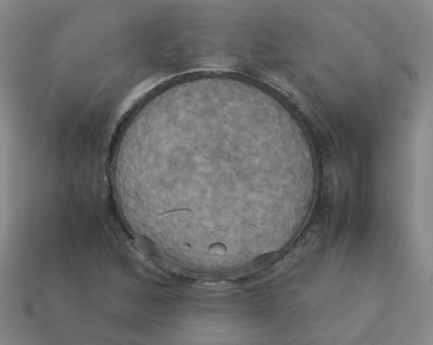 X0000113251168200910081313