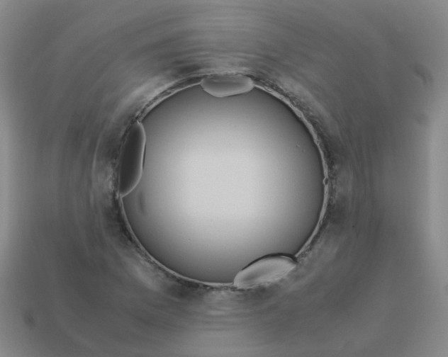 X0000113251169200910081313