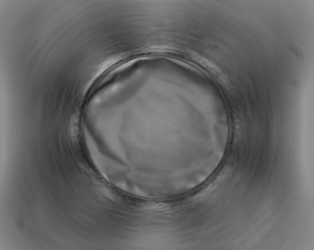 X0000113251170200910081313