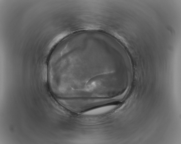 X0000113251171200910081313