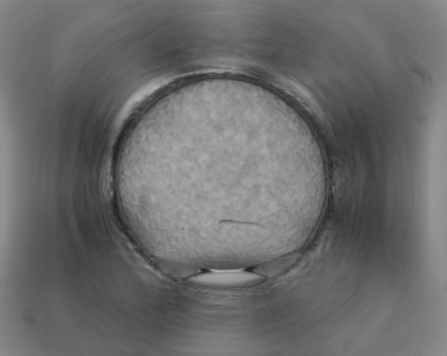 X0000113251172200910081313