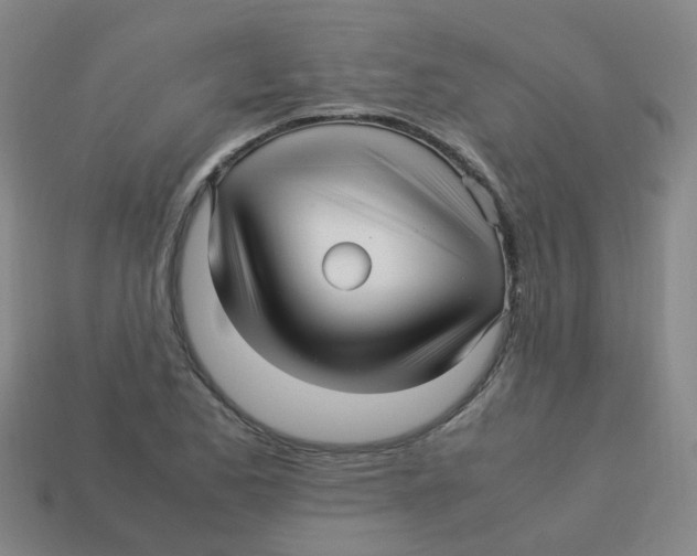 X0000113251173200910081313