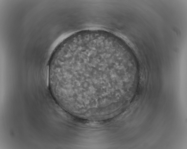 X0000113251175200910081313