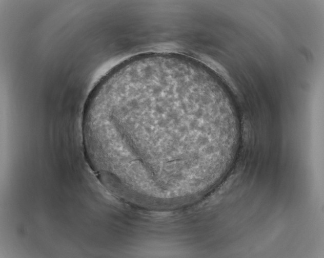 X0000113251176200910081313