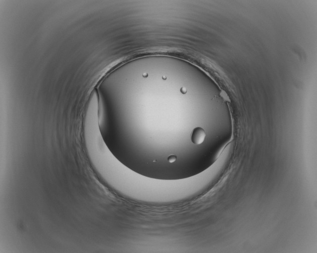 X0000113251177200910081313