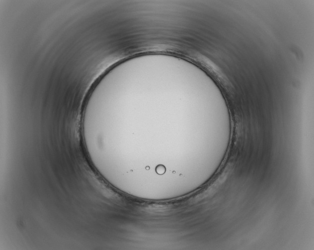 X0000113251178200910081312