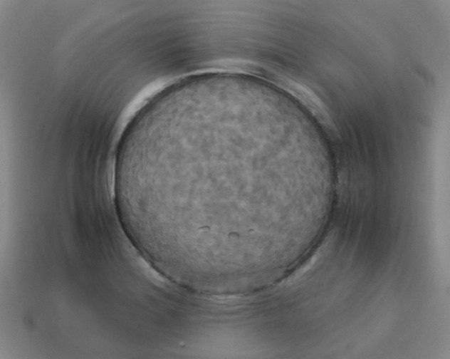 X0000113251180200910081312