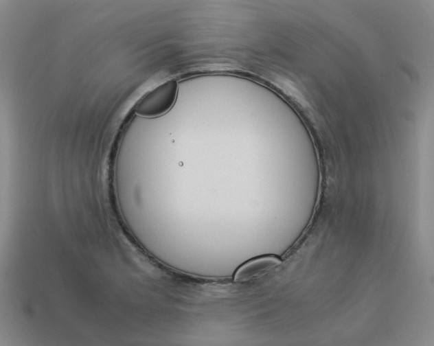 X0000113251181200910081312