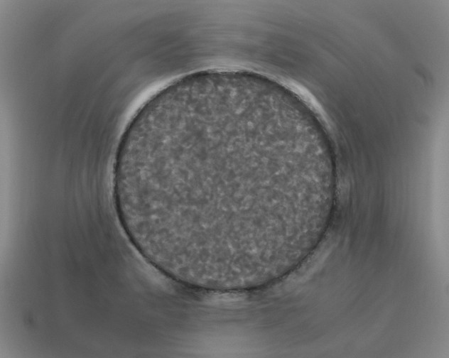 X0000113251183200910081312