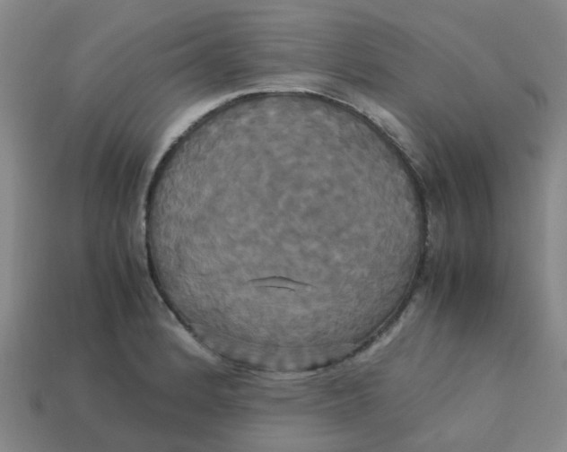 X0000113251184200910081312