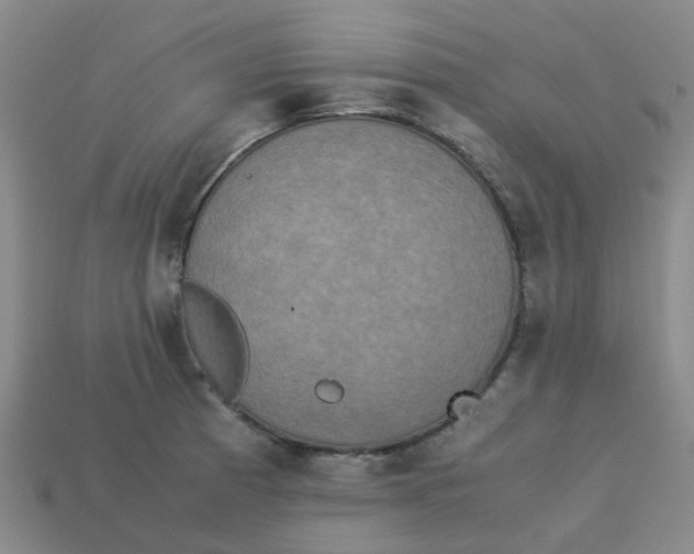 X0000113251185200910081312