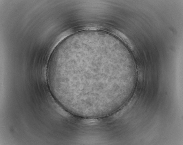 X0000113251186200910081312