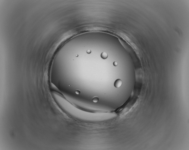 X0000113251189200910081312