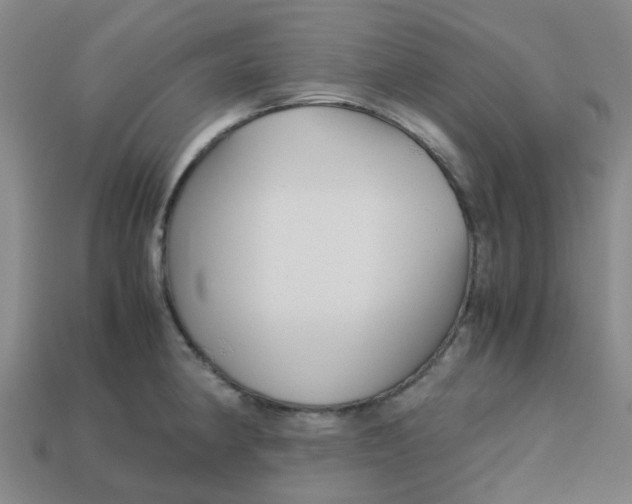 X0000113251190200910081312