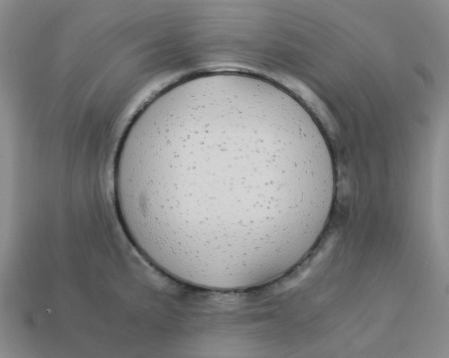 X0000113251191200910081312