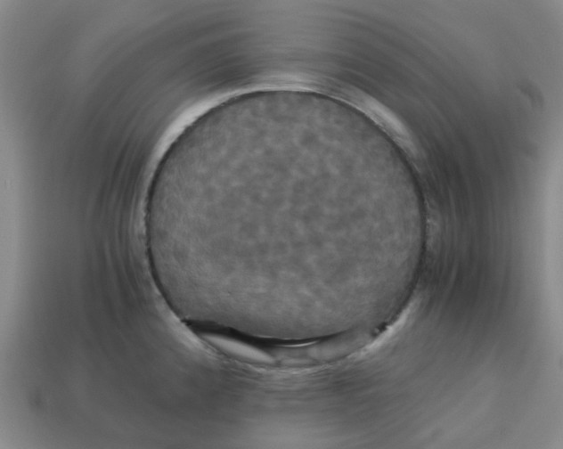 X0000113251192200910081312