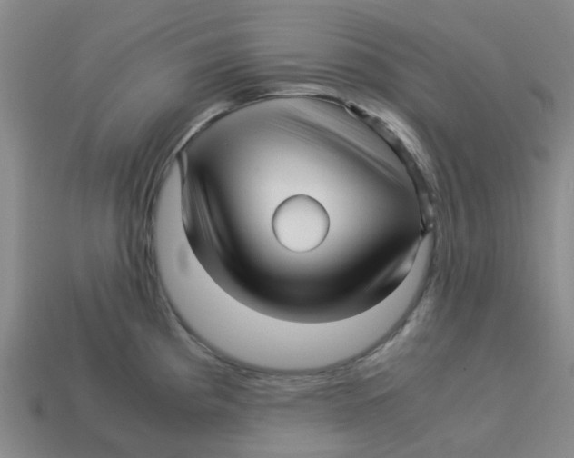 X0000113251193200910081312