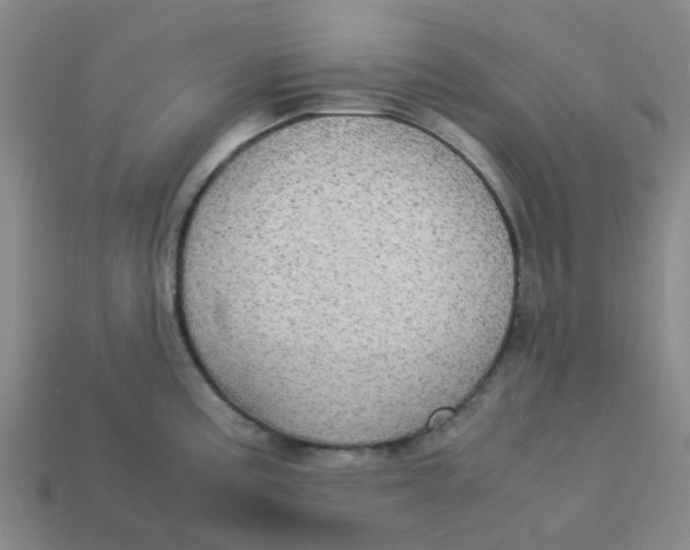 X0000113251195200910081312