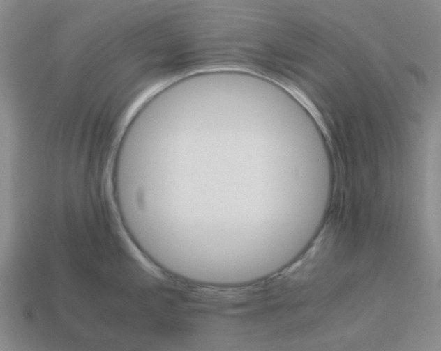 X0000113251197200910081312