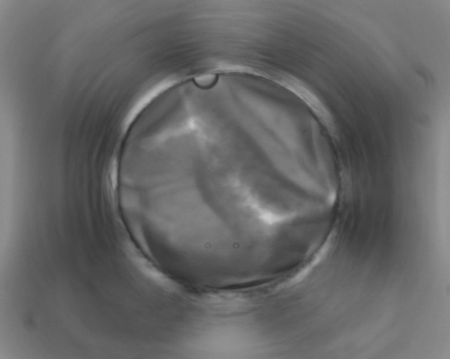 X0000113251198200910081312