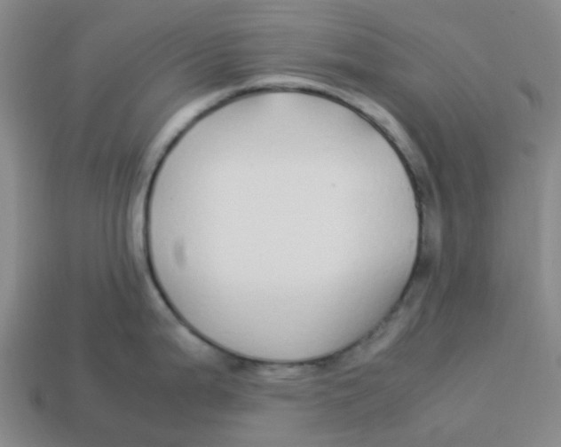 X0000113251199200910081312