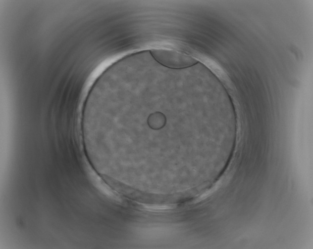 X0000113251200200910081312