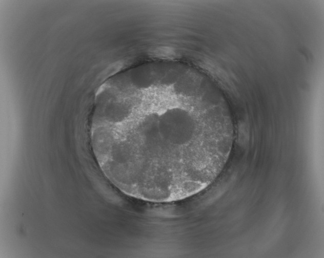 X0000113251201200910081312