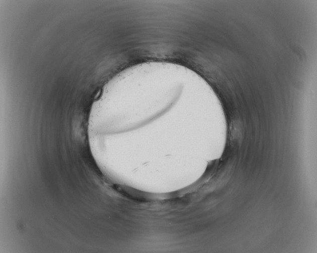 X0000113251202200910081312